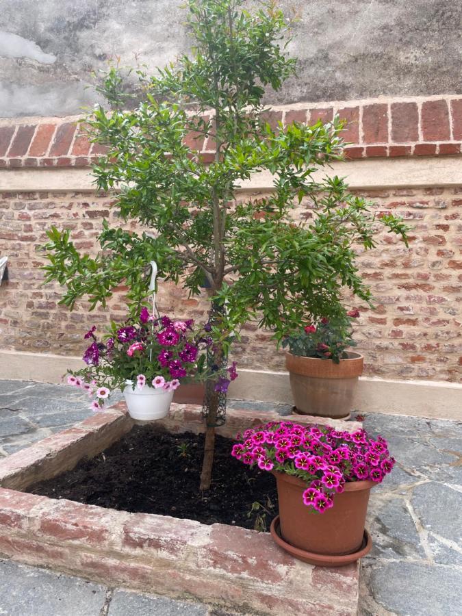 Residenza Nikol Appartamento Giulia Casale Monferrato Bagian luar foto