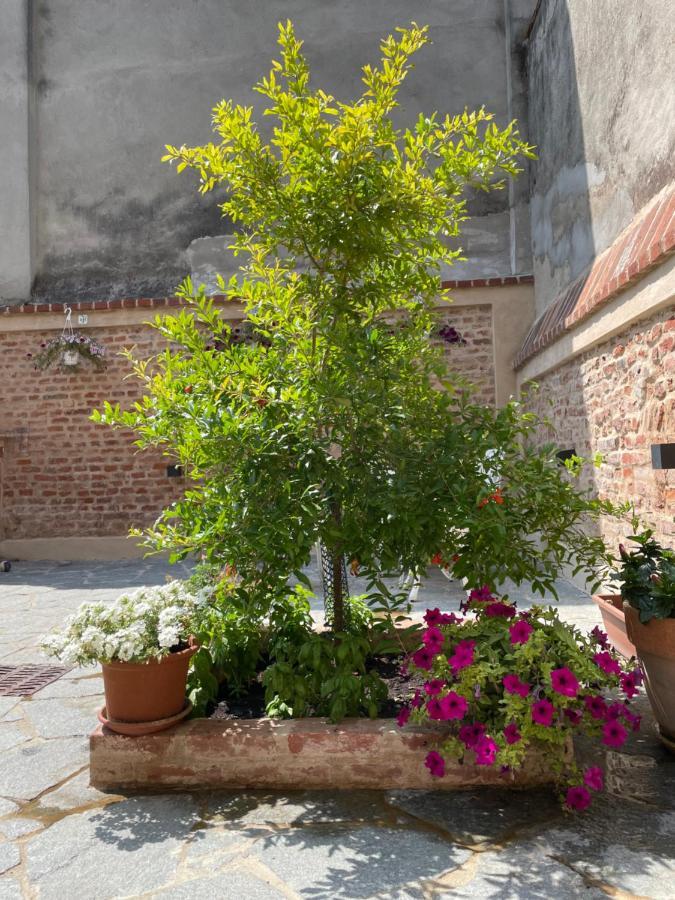 Residenza Nikol Appartamento Giulia Casale Monferrato Bagian luar foto